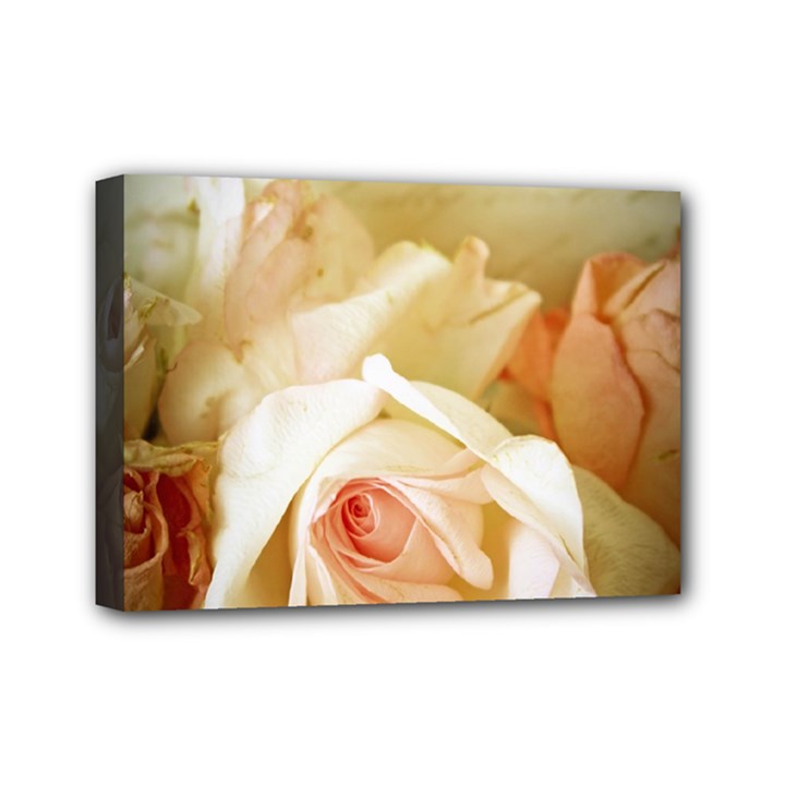 Roses Vintage Playful Romantic Mini Canvas 7  x 5 