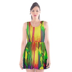 Abstract Vibrant Colour Botany Scoop Neck Skater Dress by Celenk