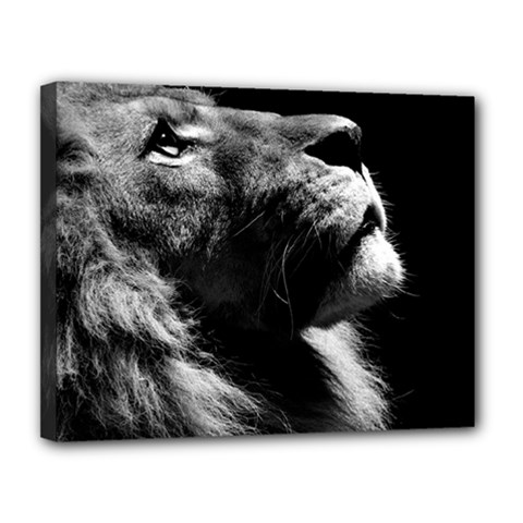 Male Lion Face Canvas 14  X 11  by Celenk