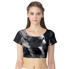 Male Lion Face Short Sleeve Crop Top by Celenk