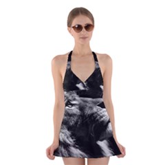 Male Lion Face Halter Dress Swimsuit  by Celenk