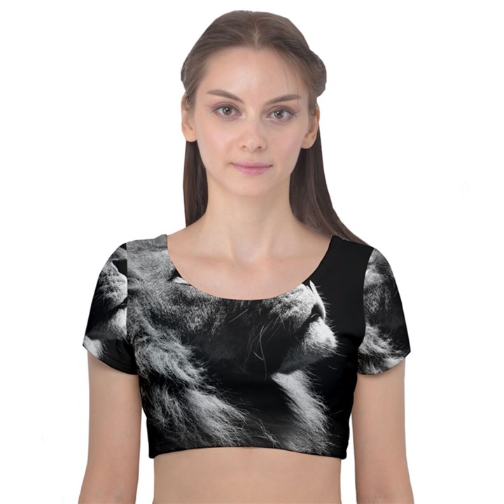 Male Lion Face Velvet Crop Top