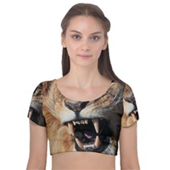 Male Lion Angry Velvet Crop Top by Celenk