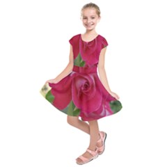 Romantic Red Rose Photography Kids  Short Sleeve Dress by yoursparklingshop