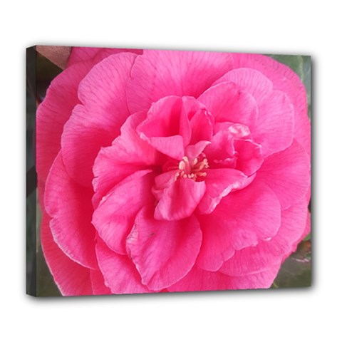 Pink Flower Japanese Tea Rose Floral Design Deluxe Canvas 24  X 20   by yoursparklingshop