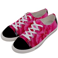 Pink Flower Japanese Tea Rose Floral Design Women s Low Top Canvas Sneakers by yoursparklingshop