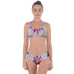 Floral Soft Pink Flower Photography Peony Rose Criss Cross Bikini Set