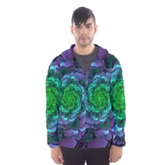 Beautiful Purple & Green Aeonium Arboreum Zwartkop Hooded Wind Breaker (men) by jayaprime