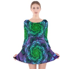 Beautiful Purple & Green Aeonium Arboreum Zwartkop Long Sleeve Velvet Skater Dress by jayaprime