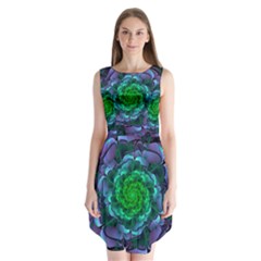 Beautiful Purple & Green Aeonium Arboreum Zwartkop Sleeveless Chiffon Dress   by jayaprime