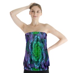 Beautiful Purple & Green Aeonium Arboreum Zwartkop Strapless Top by jayaprime