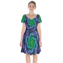 Beautiful Purple & Green Aeonium Arboreum Zwartkop Short Sleeve Bardot Dress by jayaprime