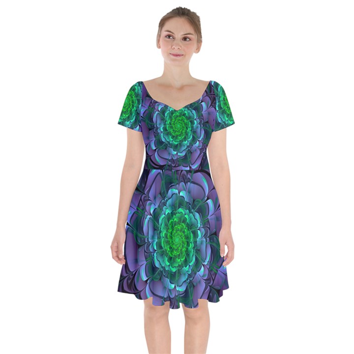 Beautiful Purple & Green Aeonium Arboreum Zwartkop Short Sleeve Bardot Dress