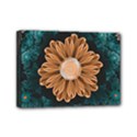 Beautiful Paradise Chrysanthemum of Orange and Aqua Mini Canvas 7  x 5  View1