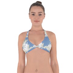 Nature Pattern Halter Neck Bikini Top by dflcprintsclothing