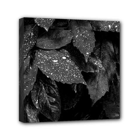 Black And White Leaves Photo Mini Canvas 6  X 6  by dflcprintsclothing