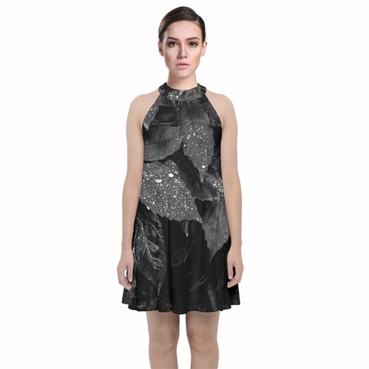 Black and White Leaves Photo Velvet Halter Neckline Dress 