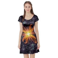 Beautiful Orange Star Lily Fractal Flower At Night Short Sleeve Skater Dress by jayaprime