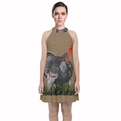 Thanksgiving Turkey Velvet Halter Neckline Dress 