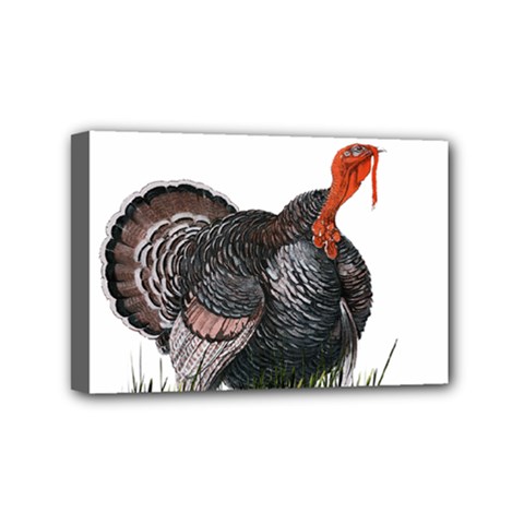 Thanksgiving Turkey Mini Canvas 6  x 4 