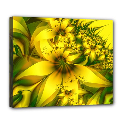 Beautiful Yellow-green Meadow Of Daffodil Flowers Deluxe Canvas 24  X 20   by jayaprime