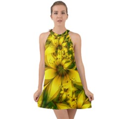 Beautiful Yellow-green Meadow Of Daffodil Flowers Halter Tie Back Chiffon Dress by jayaprime