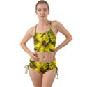 Beautiful Yellow-Green Meadow of Daffodil Flowers Mini Tank Bikini Set View1