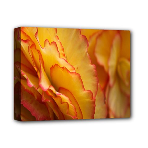 Flowers Leaves Leaf Floral Summer Deluxe Canvas 14  X 11  by Celenk