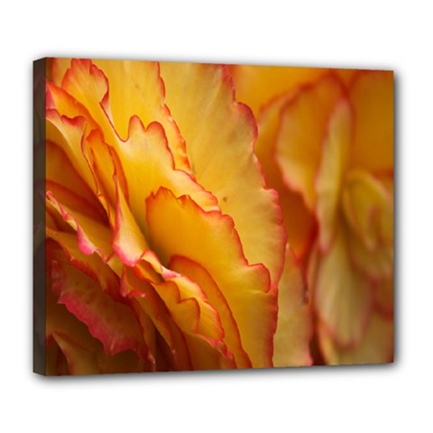 Flowers Leaves Leaf Floral Summer Deluxe Canvas 24  X 20   by Celenk