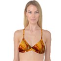 Flowers Leaves Leaf Floral Summer Reversible Tri Bikini Top View1