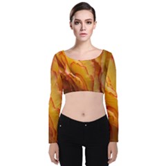 Flowers Leaves Leaf Floral Summer Velvet Long Sleeve Crop Top