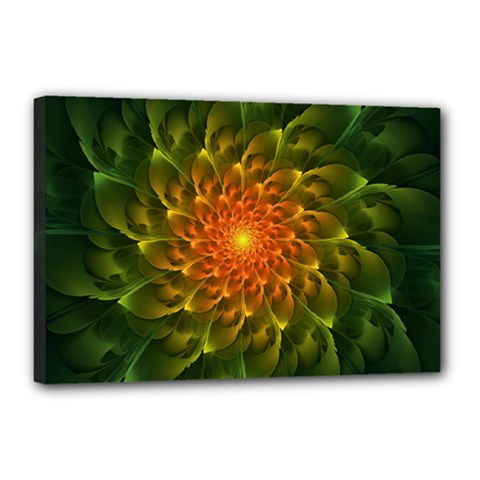 Beautiful Orange-green Desert Cactus Fractalspiral Canvas 18  X 12  by jayaprime