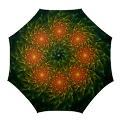 Beautiful Orange-green Desert Cactus Fractalspiral Golf Umbrellas by jayaprime