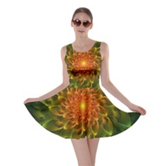 Beautiful Orange-green Desert Cactus Fractalspiral Skater Dress by jayaprime