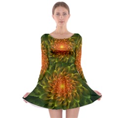 Beautiful Orange-green Desert Cactus Fractalspiral Long Sleeve Skater Dress by jayaprime