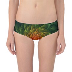 Beautiful Orange-green Desert Cactus Fractalspiral Classic Bikini Bottoms by jayaprime