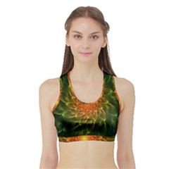 Beautiful Orange-green Desert Cactus Fractalspiral Sports Bra With Border by jayaprime