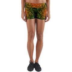 Beautiful Orange-green Desert Cactus Fractalspiral Yoga Shorts by jayaprime