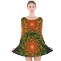 Beautiful Orange-Green Desert Cactus Fractalspiral Long Sleeve Velvet Skater Dress View1