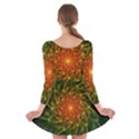 Beautiful Orange-Green Desert Cactus Fractalspiral Long Sleeve Velvet Skater Dress View2