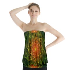 Beautiful Orange-green Desert Cactus Fractalspiral Strapless Top by jayaprime