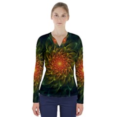 Beautiful Orange-green Desert Cactus Fractalspiral V-neck Long Sleeve Top