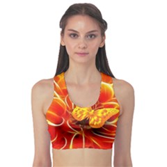 Arrangement Butterfly Aesthetics Orange Background Sports Bra by Celenk