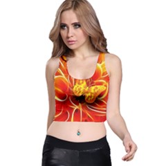 Arrangement Butterfly Aesthetics Orange Background Racer Back Crop Top