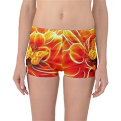 Arrangement Butterfly Aesthetics Orange Background Boyleg Bikini Bottoms