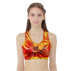 Arrangement Butterfly Aesthetics Orange Background Sports Bra With Border by Celenk