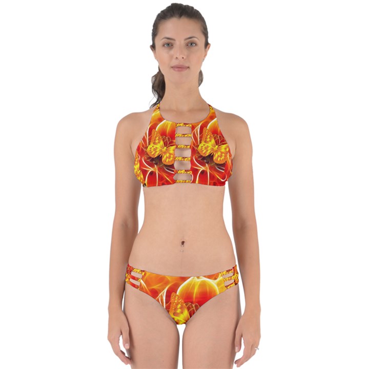 Arrangement Butterfly Aesthetics Orange Background Perfectly Cut Out Bikini Set