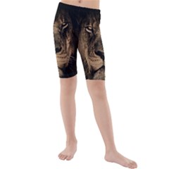 African Lion Mane Close Eyes Kids  Mid Length Swim Shorts by Celenk