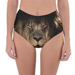 African Lion Mane Close Eyes Reversible High-waist Bikini Bottoms