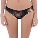 African Lion Mane Close Eyes Reversible Hipster Bikini Bottoms View1